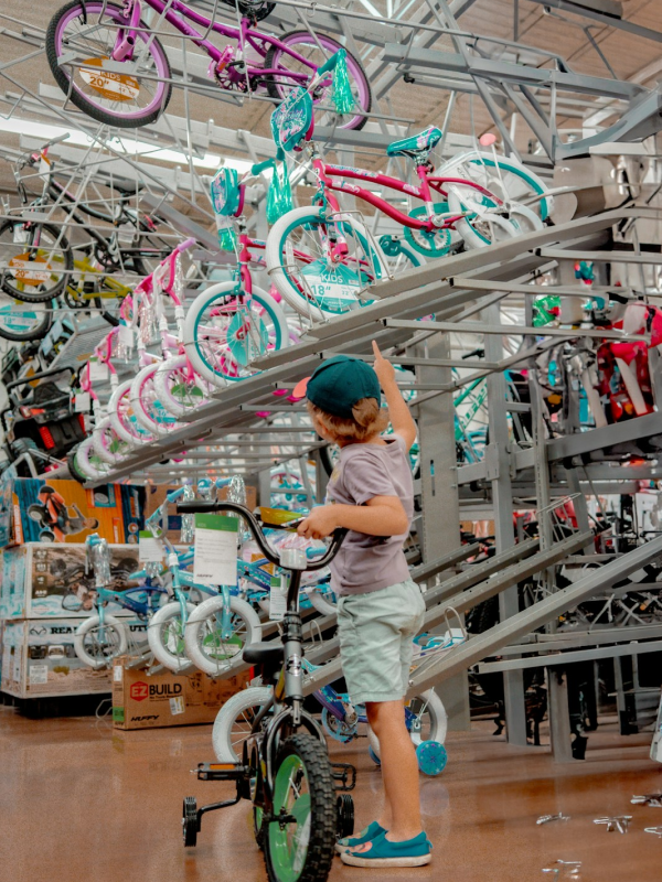 Bicicleta